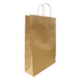 340x480x110mm Twisted Handle Kraft Gift Bag 250pcs