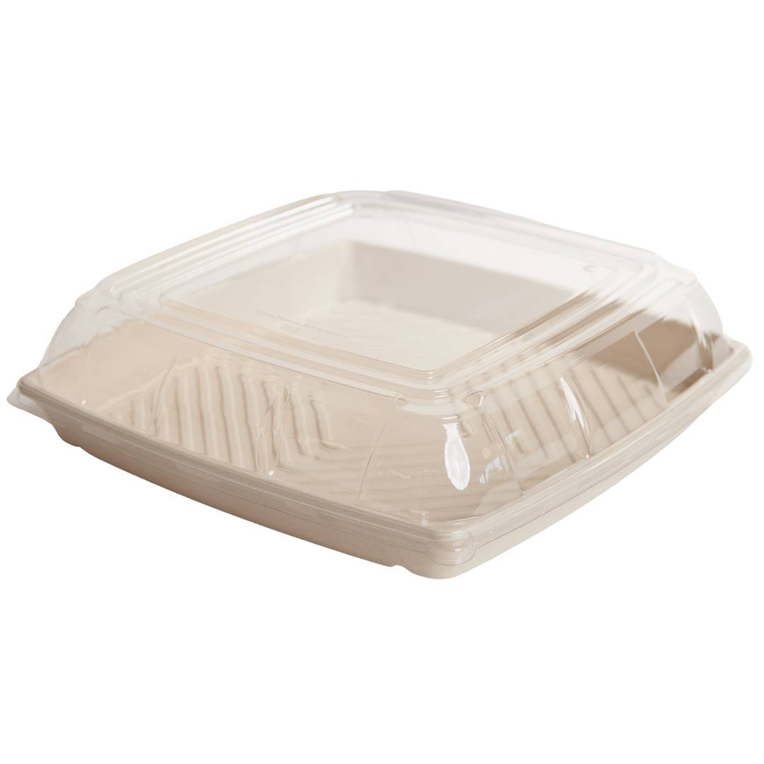 397x397x105mm Natural Square Sugarcane Platter W/ Lid 50pcs