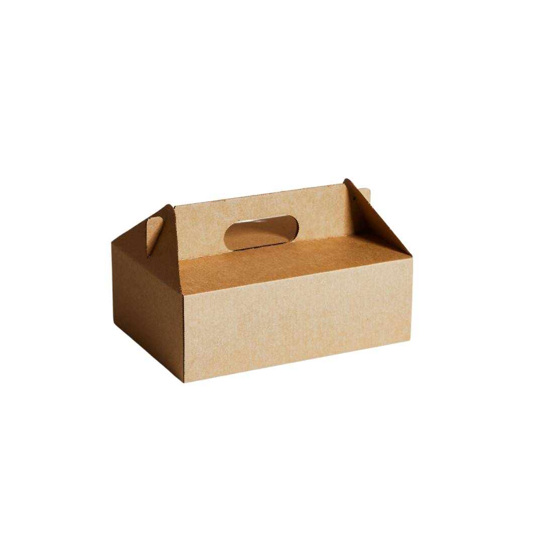 EB1K Corrugated Carry Box 100pcs