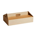 EB3K Corrugated Carry Box 100pcs