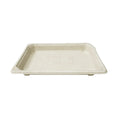 EG-0.8B Sugarcane Sushi Tray 165x115x19.5mm 600pcs