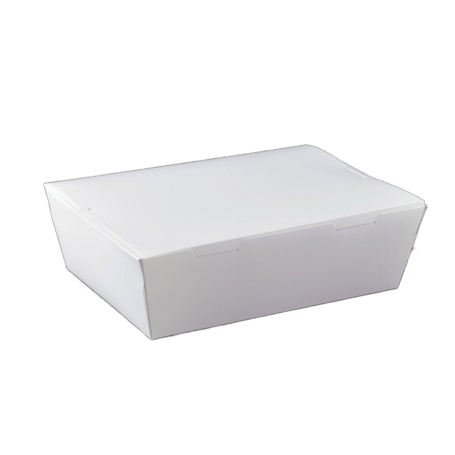 L194S0001 Large Lunch Box 195x140x65mm 200pcs