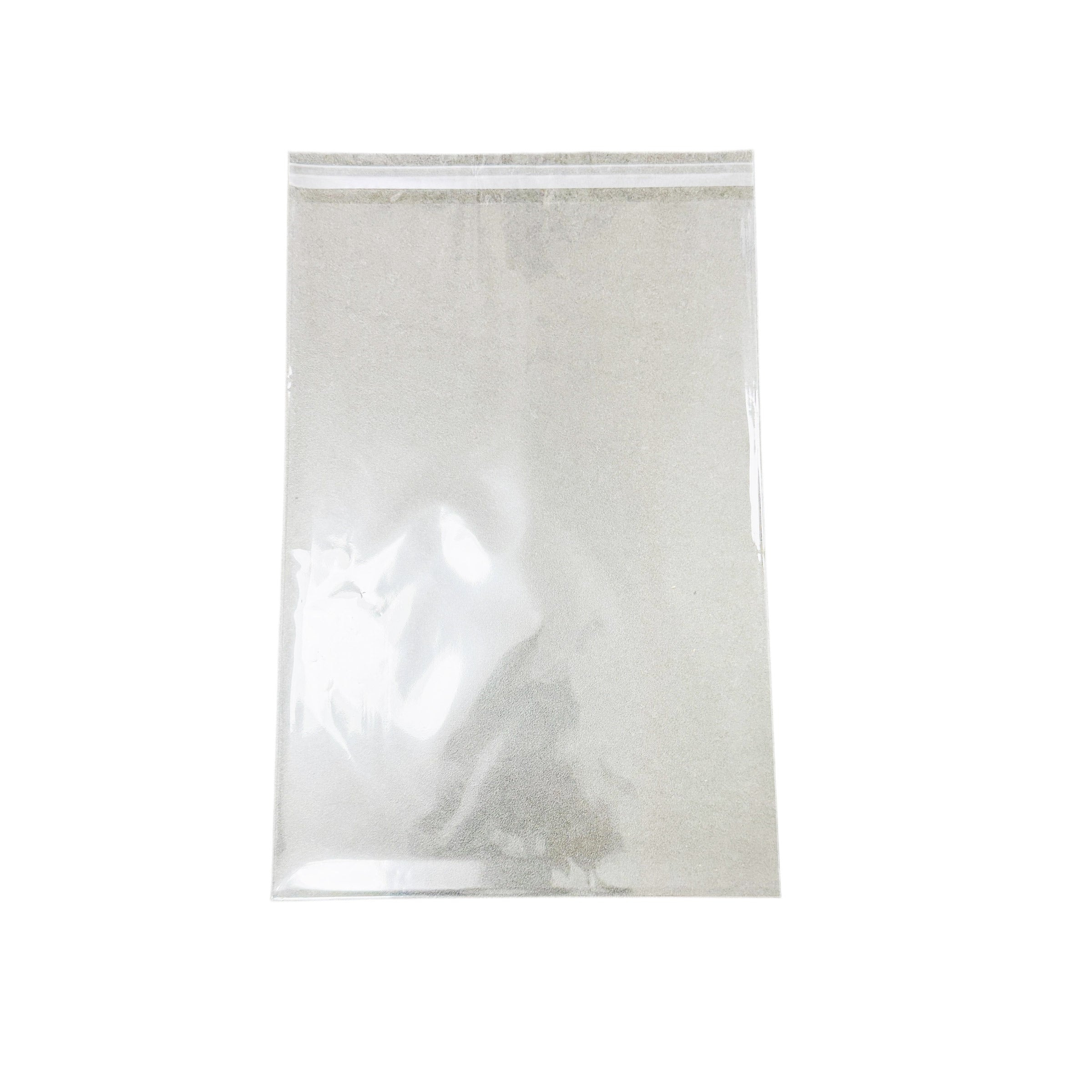 BOPP Adhesive Bag 250x360mm