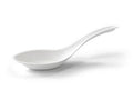 Sugarcane Soup Spoon 140mm 1000pcs