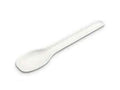 Sugarcane Tea Spoon 110mm 3000pcs